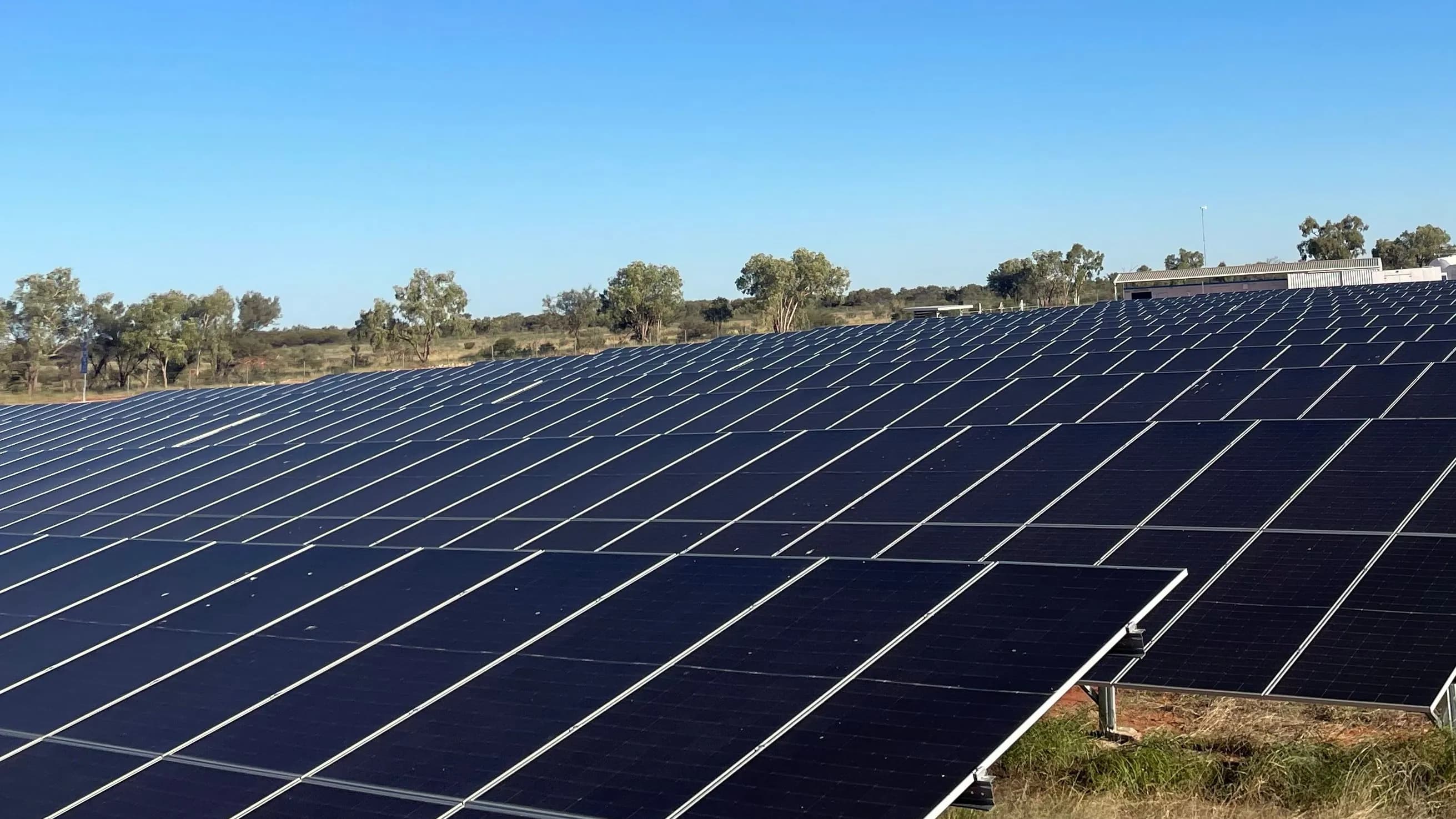 Rows of ground-mounted solar panels with trees on the horizon under a clear sky.