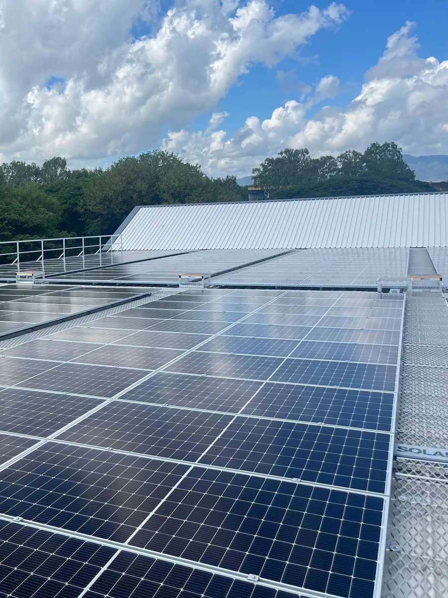 A rooftop solar array with trees behind it.